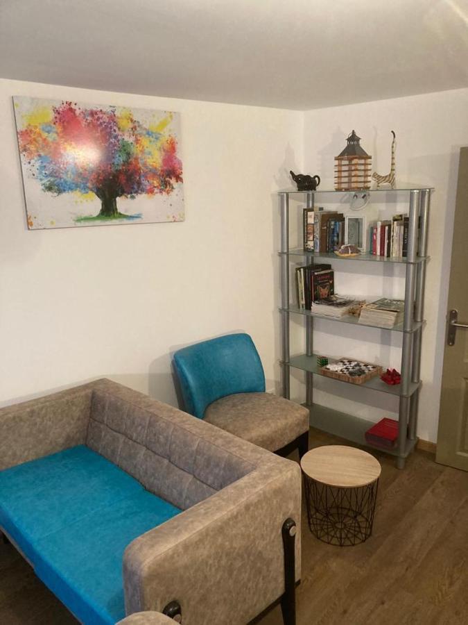 Appartement Plein Pied 45 M2 Baccarat מראה חיצוני תמונה